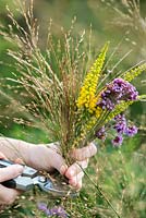 Purple and yellow posie step by step in October. Cutting panicles of purple moor grass - Molinia caerulea subsp. arundinacea 'Transparent'