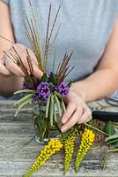 Purple and yellow posie step by step in October: adding more stems of Miscanthus sinensis, Chinese silver grass, in the arrangement alongside silk tassel bush and Verbena bonariensis.