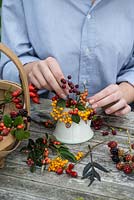 Hips and berries posie step by step in November. Placing stems of hawthorn berries alongside orange cotoneaster and yellow pyracantha berries.