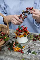 Hips and berries posie step by step in November. Preparing blackberry stems.