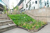 Dig the City Manchester 'Step Change' garden by Hulme Community Garden Centre.