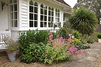 Comprehensive summer border of Common Valerian, Lavender, Euphorbia, and Dianthus etc. Beautiful home and spacious garden.  Fordcombe open day for garden lovers. Kent.  June