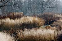 Pathway through grasses as sun melts frost. Plants include Deschampsia cespitosa 'Goldschleier', syn. D. cespitosa 'Golden Veil', Deschampsia 'Goldtau', Lythrum, Astilbe chinensis var. taquetii 'Purpurlanze', Persicaria amplexicaulis