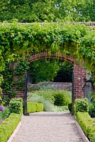 Arch and gateway between walled gardens with Laburnum x watereri 'Vossii' overhanging. Box - Buxus sempervirens edging herbaceous borders on either side of gravel pathway.