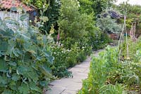 Paved and gravel pathway between mixed borders. Macleaya in foreground, geranium, foxglove, pittosporum, campanula, and weeping pear Pyrus salicifolia 'Pendula' at end. Papaver somniferum in bud and artichoke to right.