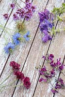 Summer posie ingredients are Verbena bonariensis, Nigella damascena, Clary, Salvia x jamensis 'Nachtvlinder' and Centaurea cyanus 'Black Ball'