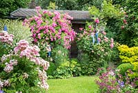 The lush mixed planting of the borders in front of a garden shed is completed with ceramic objects such as a female sculpture and birds. Rosa 'Ballerina', 'Leonardo da Vinci', 'New Dawn', 'Super Dorothy', Acer japonicum 'Aconitifolium', Alchemilla mollis, Astrantia, Buxus, Foeniculum vulgare 'Rubrum'