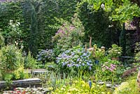 In a pottery maker's garden, decorative ceramic birds show up between Hydrangea planting, in the foreground, natural styled bog zone with ceramic kingfisher. Wall covered with Japanese ivy, Rosa 'Veilchenblau', Hippuris, Hydrangea macrophylla 'Endless Summer'
