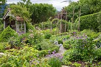 Romantic garden with winding gravel paths, box hedges, an arbour and wooden frame for runner beans. Plants include: Allium schoenoprasum, Aquilegia, Buxus and Fagus sylvatica