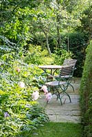 Wood and iron garden furniture on a flagstone paved surface in a garden with Paeonia