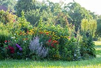 Colourful border in a farmer's garden, Achillea ptarmica 'The Pearl', Crocosmia, Heliopsis helianthoides, Phlox paniculata, Salvia sclarea var. turkestanica, Tagetes, Verbascum olympicum