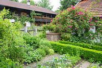 Farmer's garden with vegetable rows, a low clipped box hedge, brick water basin and a climbing rose on an arch. Rosa 'Scharlachglut', Buxus, Clematis 'Dorothy Walton', Clematis 'Fujimusume'