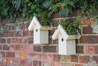 Twin bird houses with green living roofs consisting of Sedum matting