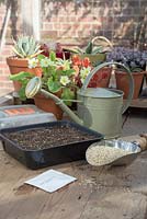 Tools and equipment required for growing Cosmos sulphureus 'Brightness Mixed'