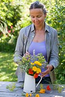Woman making an arrangement - Jug of herb and edible flowers - marigold, fennel, borago, mint, nasturtium