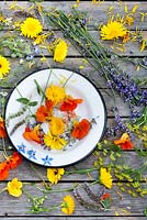 Herbs and edible flowers - marigold, fennel, borago, mint, nasturtium, lavender.