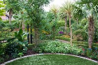 Exotic garden with artifical circular lawn edged with bricks.  Plants include Canna iridiflora on left, Sophora japonica with Solanum crispum climbing the trunk, borders edged with Lonicera nitida 'Baggesen's Gold', Sedum and blue flowers of Gentiana andrewsii