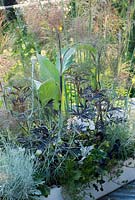 Black and white planted container with Bronze Fennel, Geranium, Viola, Helichrysum and Sambucus nigra