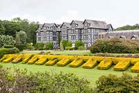 Gregynog, Montgomeryshire, Wales. CADW Grade I listed garden designed by C18th landscape designer William Emes. Clipped hedges of Taxus baccata 'Aurea Group'. July