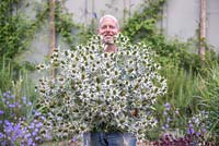 Patrick Cadman holding a huge bunch of Eryngium giganteum 'Miss Willmott's Ghost'