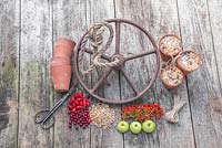 Ingredients required to make a Wheel Bird Feeder. Weathered old wheel, scissors, terracotta pots, seeds, wild berries and fruit, string, lard