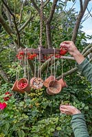 Adding bunches of Pyracantha berries to the rim of the wheel for decoration as well as an additional food source