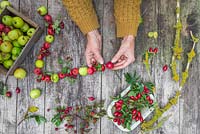 Threading wild Crab Apples, Hawthorn berries and Rose hips onto the wire