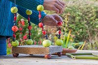 Add your wild Crab Apples, Sloe berries, Rose hips and Hawthorn berries to the wire columns.