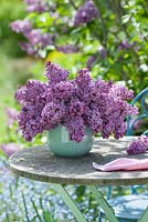 Bouquet of Syringa vulgaris 'Sensation' - lilac in turquoise ceramic vase