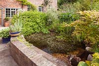 The wildlife pond with Acer palmatum and Bamboo on the fringe. Hope House, Caistor, Lincolnshire, UK.