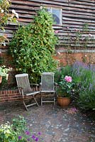Rustic wooden chairs on patio in front of barn in country garden with Rosa, Lavender and Lonicera. Bradness Gallery, East Sussex. Owners: Artists Michael Cruickshank and Emma Burnett