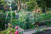 Attractive vegetable garden with raised beds and gravel pathways in summer. Bradness Gallery, East Sussex. Owners: Artists Michael Cruickshank and Emma Burnett