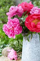 Bouquet of Paeonia 'Alexander Fleming' and 'Cythera' in metal jug 