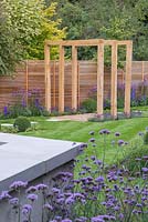 View of the Pergola in the middle of the path, surrounded by Buxus sempervirens cubes and Verbena bonariensis