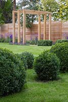 View from Buxus sempervirens spheres looking towards Pergola feature