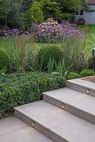 View of lighting feature built into marble steps, with border of Verbena bonariensis, Buxus sempervirens hedge and spheres, Veronica and Calamagrostis x acutiflora 'Karl Foerster'
