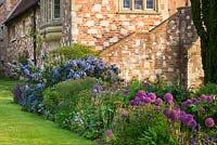 Border beside the lawn with Ceanothus and alliums beside brick wall 