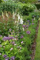 Border with lavender, Digitalis purpurea 'Alba', Allium christophii and geranium oxonianum