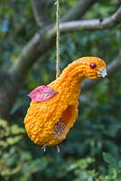 A Gourd Bird Feeder made from a Gourd and natural materials, designed to look like a duck, chicken or bird
