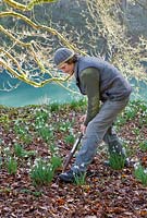 Colesbourne Park, Gloucestershire: Head gardener Chris Horsfall