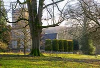 Woodland and the church at Colesbourne Park, Gloucestershire 