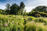 Nectar garden with Valeriana officinalis, Geranium pratense - meadow cranesbill, Epilobium angustifolium - rosebay willowherb 'Stahl Rose' and Deschampsia cespitosa - tufted hair grass