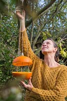 A woman hanging the Pumpkin Bird Feeder in position on a tree branch