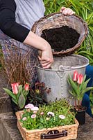 Planting an April Hanging Basket. Step 1: filling basket with compost.