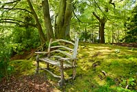 Rustic bench in woodland garden