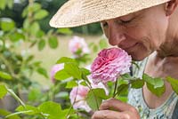 Woman smelling the scent of Rosa 'James Galway'