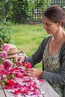 Woman carefully removing the petals from the Rose heads