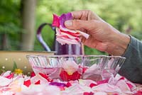 Adding rose petals to a bowl of water in which to be cleansed