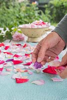Laying out the cleansed rose petals on a cloth to dry out