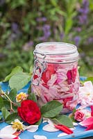 Rose petals fermenting in a glass jar of water